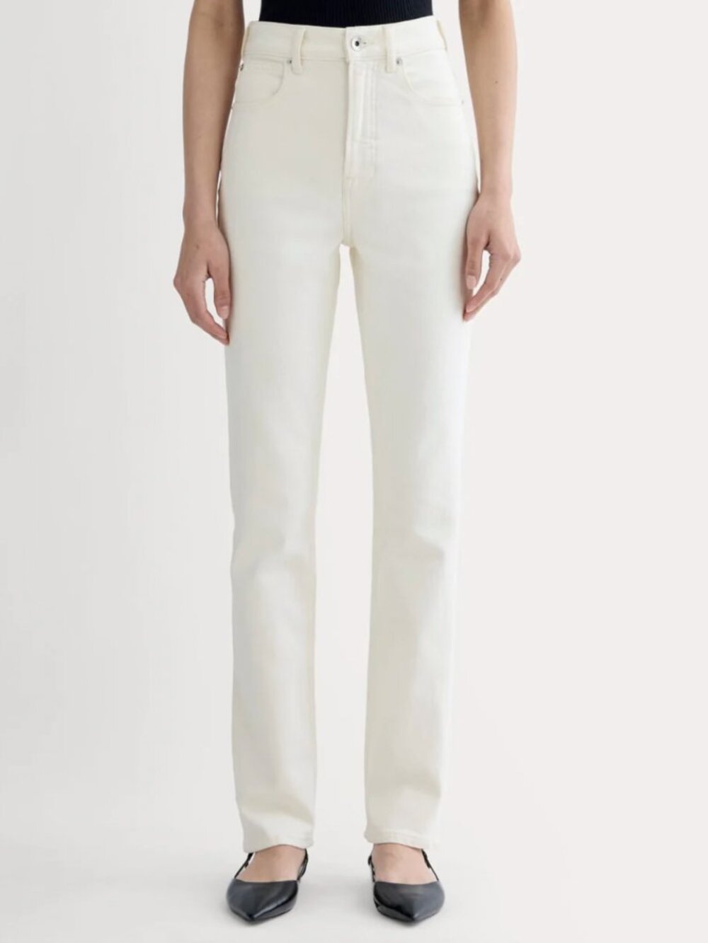 Everlane The Way-High Slim Jean